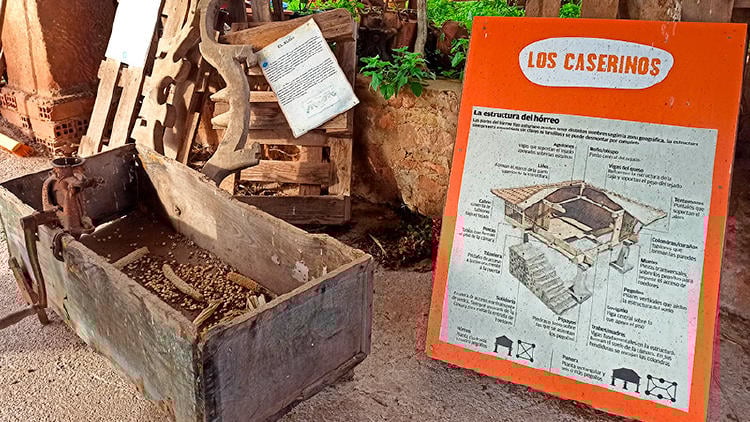3 visita queseria asturias los caserinos 3 visita queseria asturias los caserinos