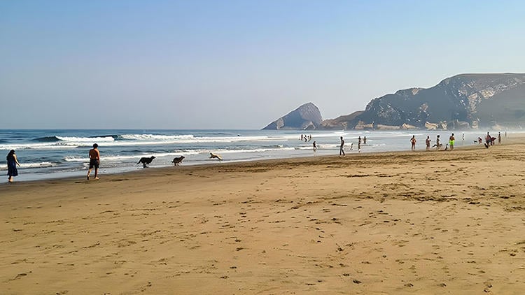 playas para perros en asturias playon bayas castrillon Playón de Bayas