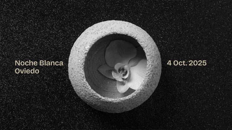 noche blanca oviedo 2025 Noche Blanca de Oviedo 2025