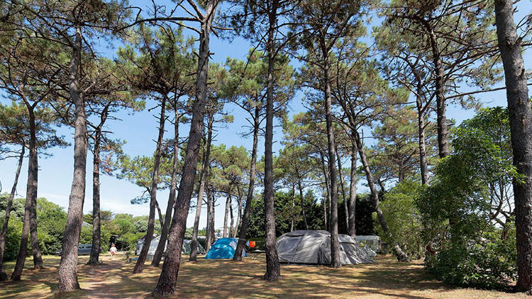 Los mejores campings en Asturias: Camping Playa de Taurán