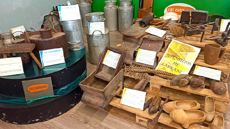 15 visita queseria asturias los caserinos 15 visita queseria asturias los caserinos
