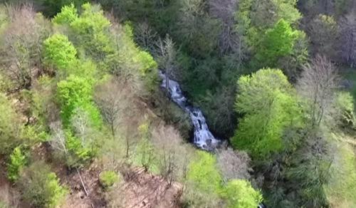 bosques de Asturias Bosques de Asturias