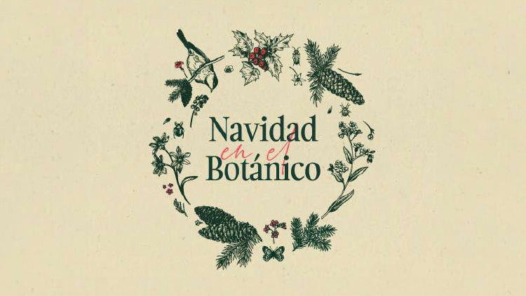 navidad jardin botanico gijon Jardín Botánico de Gijón en Navidad