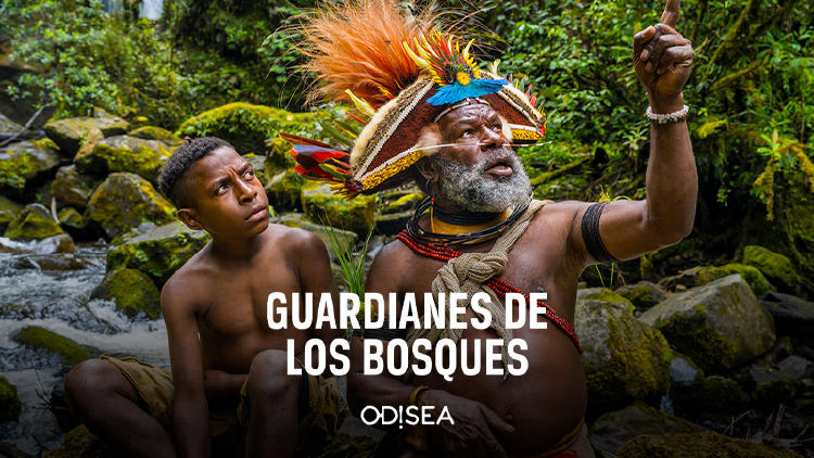 Guardianes de los bosques en Odisea