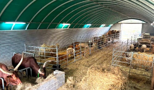 nucleo zoologico tuernes el pequeno Núcleo zoológico Tuernes El Pequeño