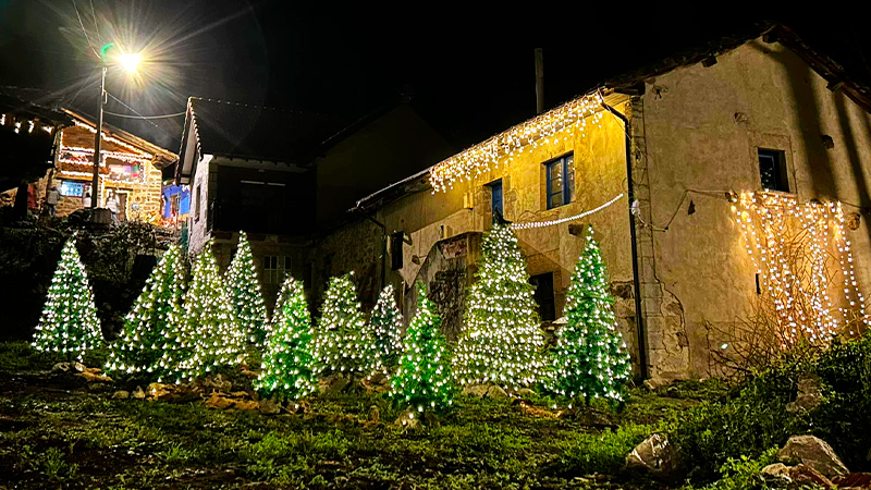 navidad aciera arboles