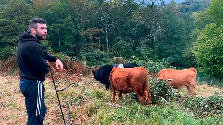 influencer asturianos picotazos Picotazos