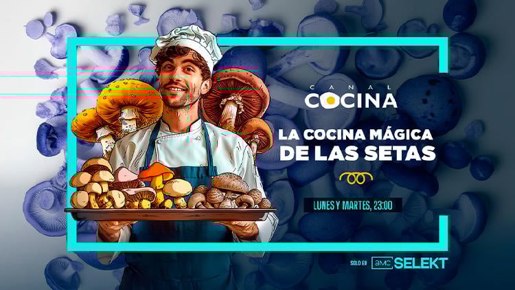 destacados television telecable marzo cocina magica setas canal cocina La cocina mágica de las setas en Canal Cocina