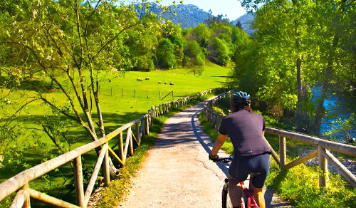 senda oso asturias senda oso asturias