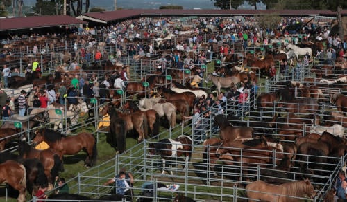 feria san isidro llanera San Isidro Llanera