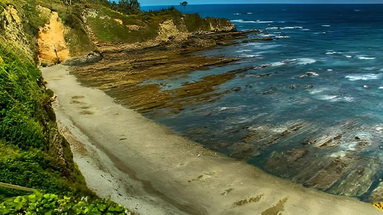 playas para perros en asturias cambaredo el franco Playa de Cambaredo
