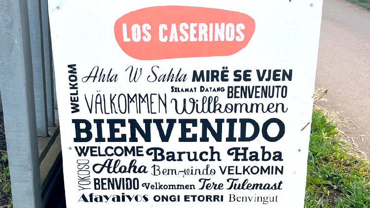 1 visita queseria asturias los caserinos 1 visita queseria asturias los caserinos