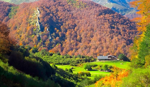 branagallones Brañagallones