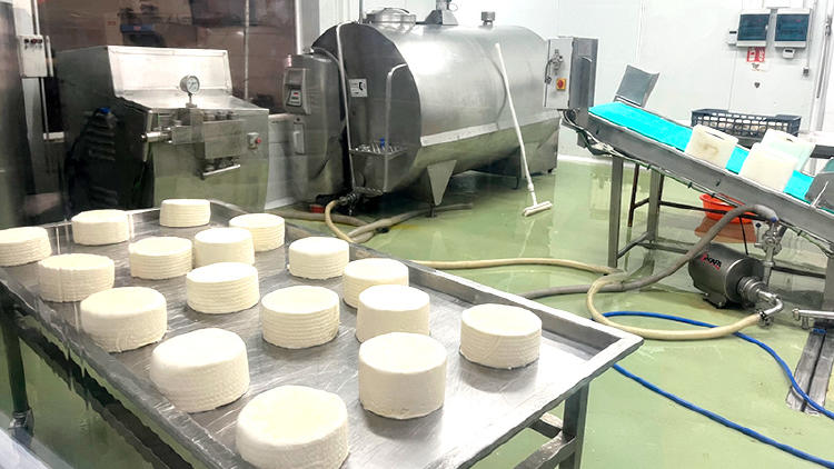 18 visita queseria asturias los caserinos 18 visita queseria asturias los caserinos
