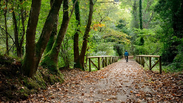 senda oso paisaje senda oso paisaje