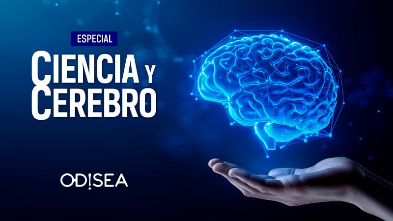 Especial Ciencia y cerebro en Odisea en abierto