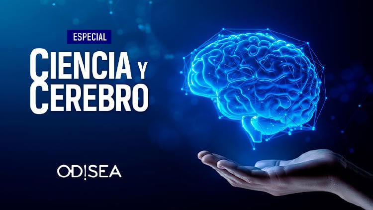 estrenos television marzo 2025 telecable ciencia cerebro odisea Especial Ciencia y cerebro en Odisea en abierto