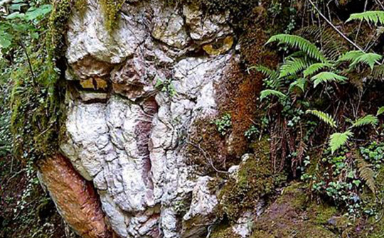 Rutas mágicas para descubrir la mitología asturiana: El bosque de Beyu Pen, en Amieva